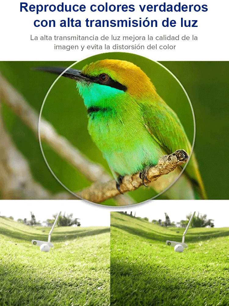 LENTES AUTOFOCUS TR90
